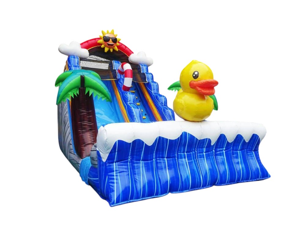 EA-009 GLISSADE CANARD (disponible en juin)