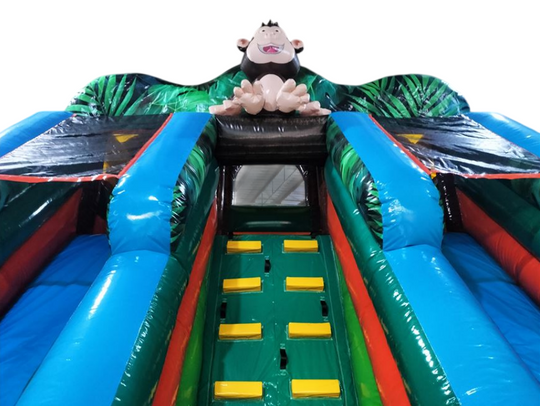 GL-026 GLISSADE PERROQUET